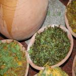 Vraj-Yatra-2014- (880)